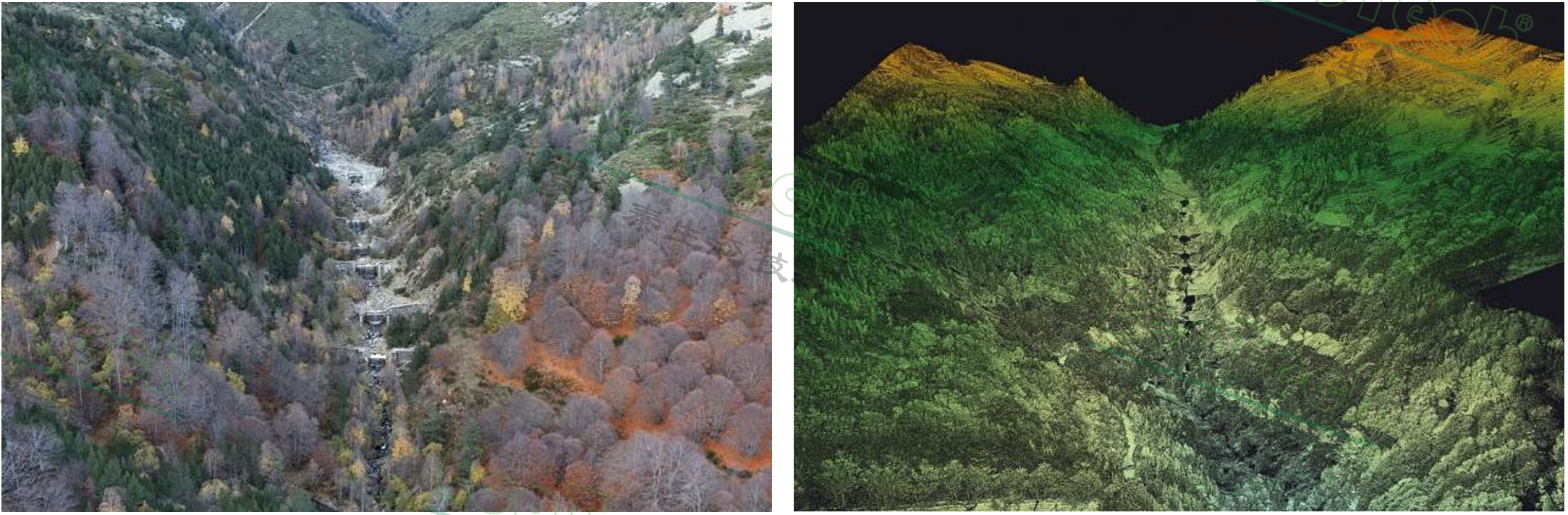 77779193永利官网(集团)有限公司