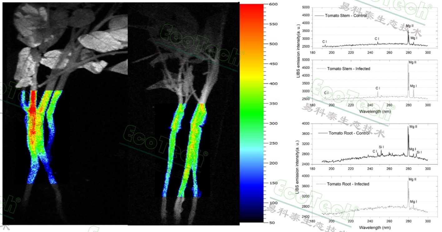77779193永利官网(集团)有限公司