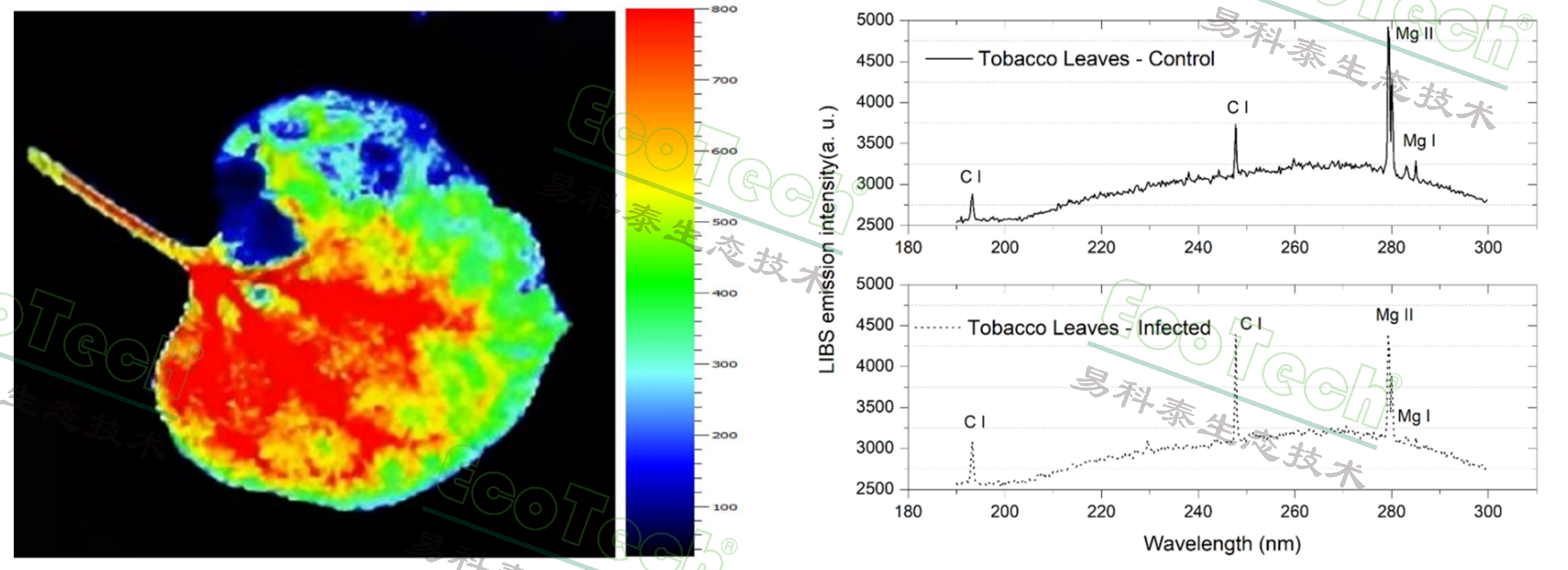 77779193永利官网(集团)有限公司