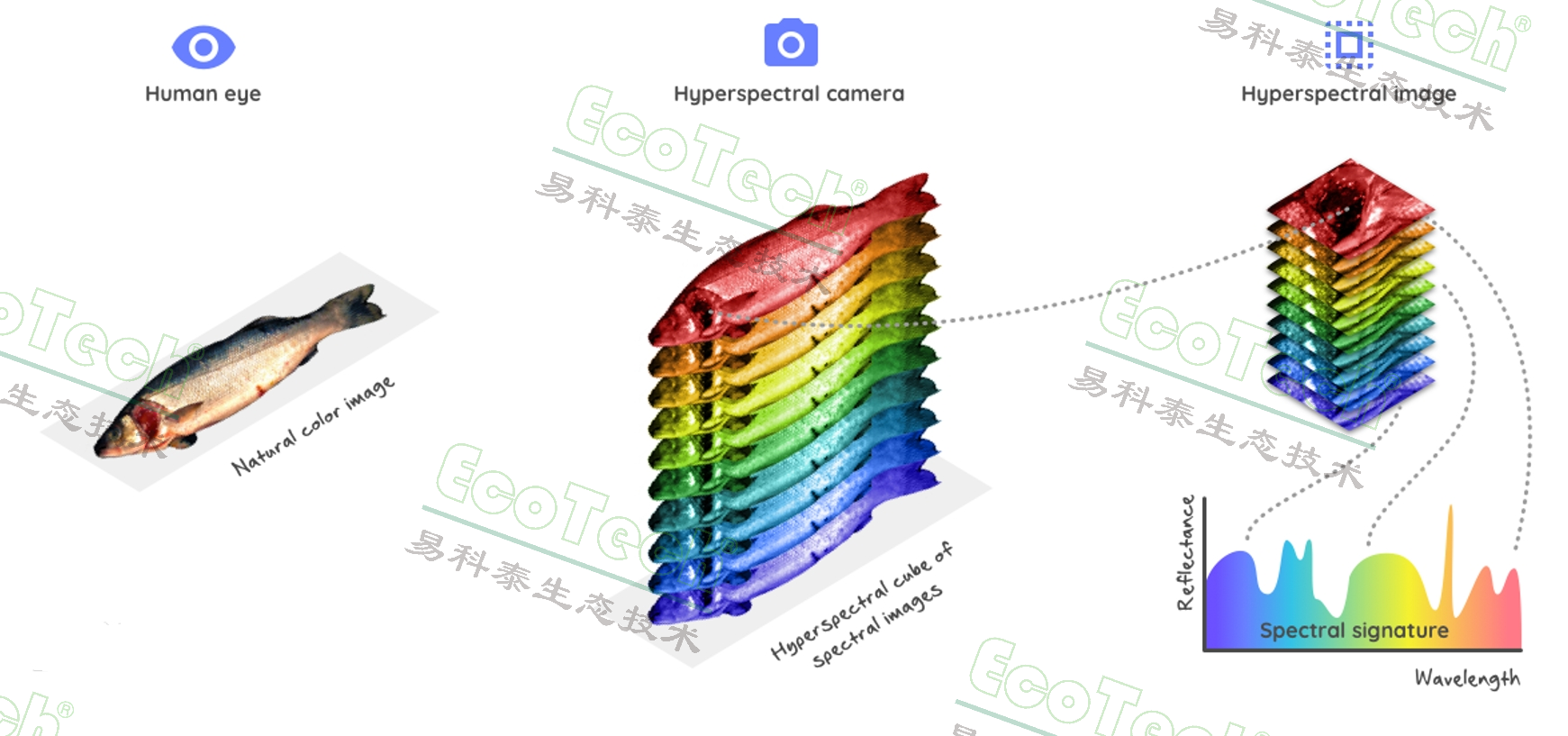 77779193永利官网(集团)有限公司