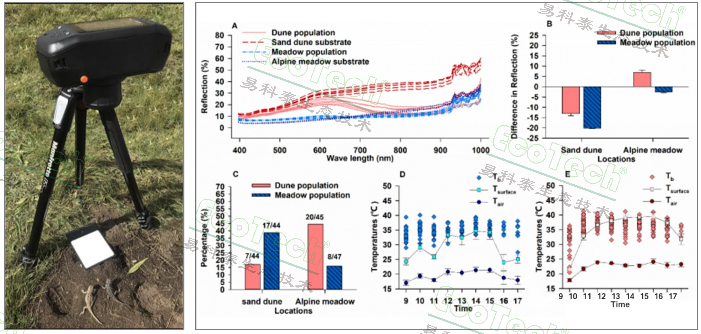 77779193永利官网(集团)有限公司