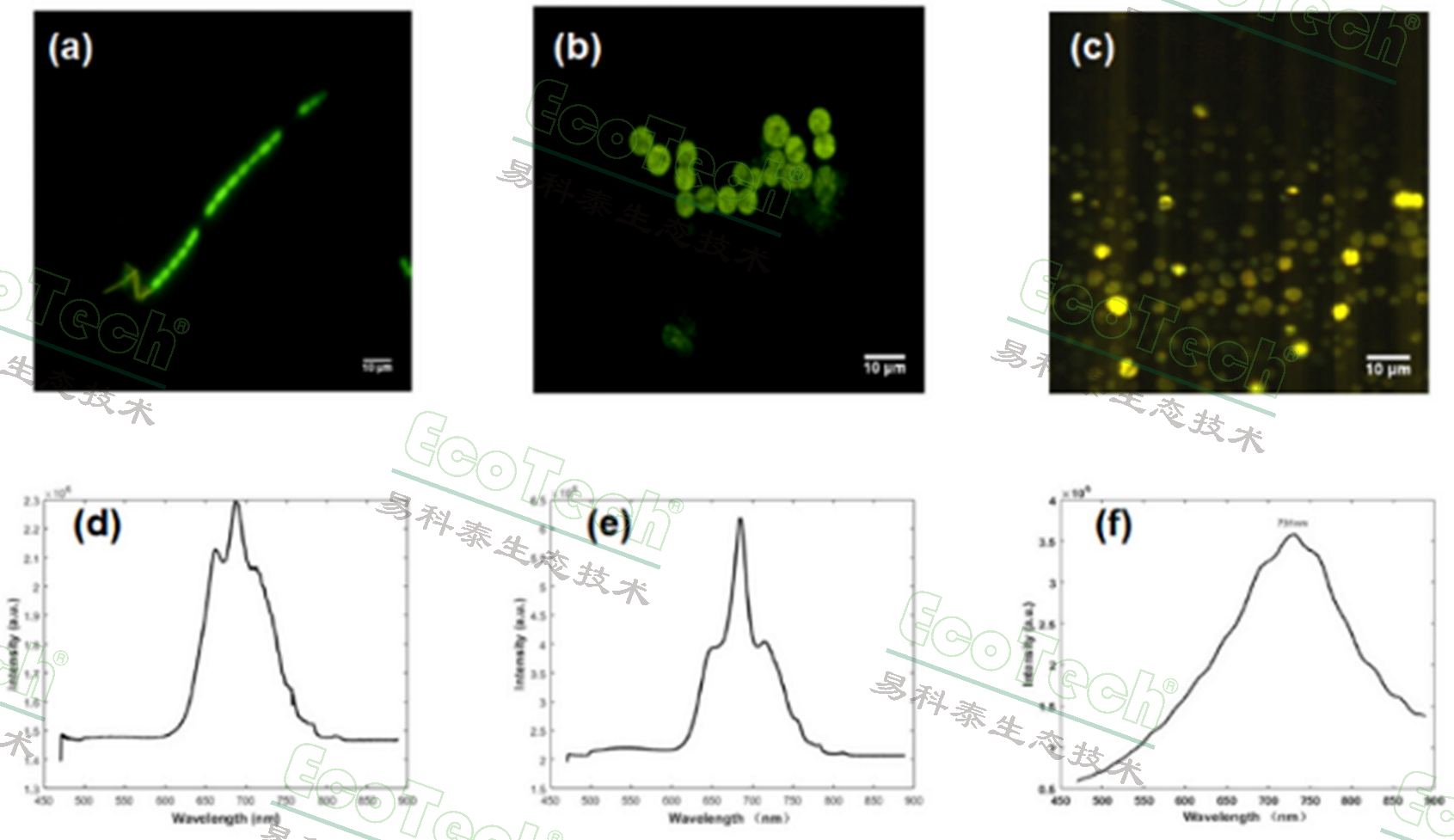 77779193永利官网(集团)有限公司
