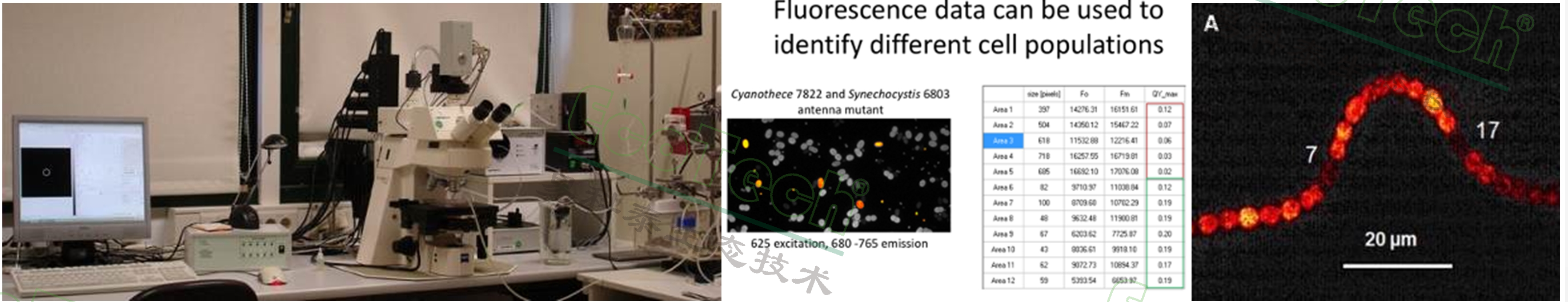 77779193永利官网(集团)有限公司
