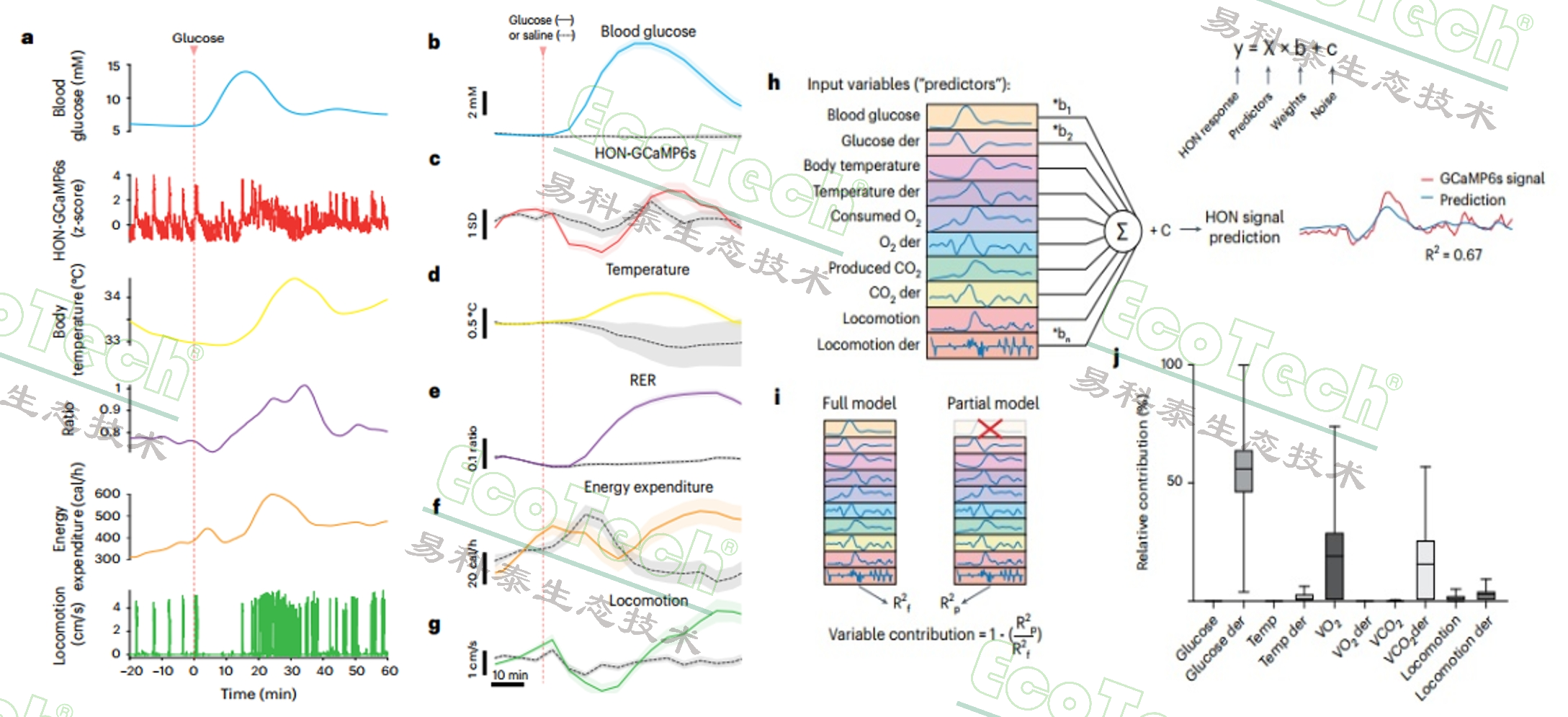 77779193永利官网(集团)有限公司