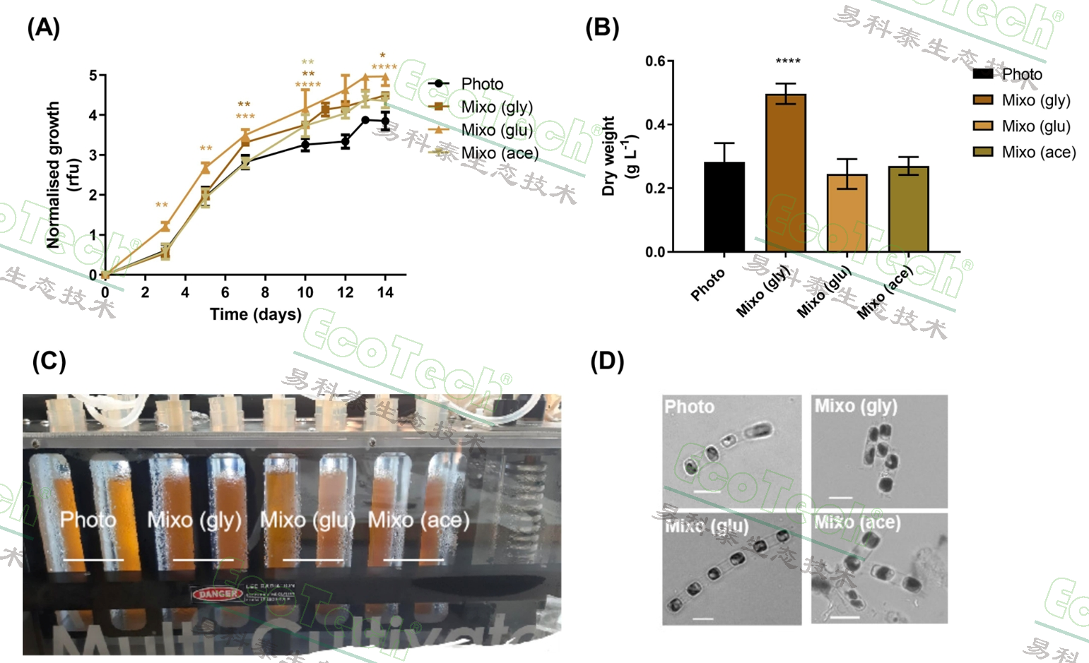 77779193永利官网(集团)有限公司