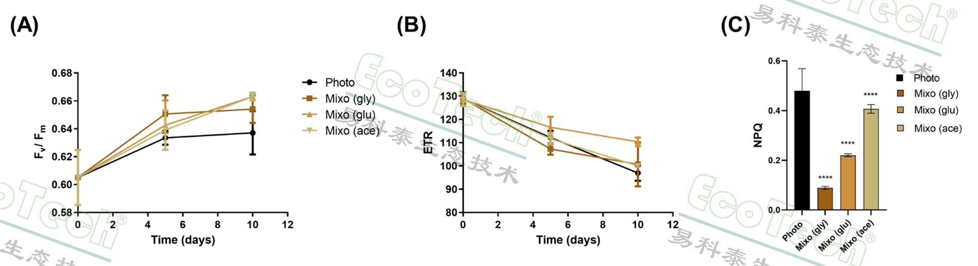 77779193永利官网(集团)有限公司