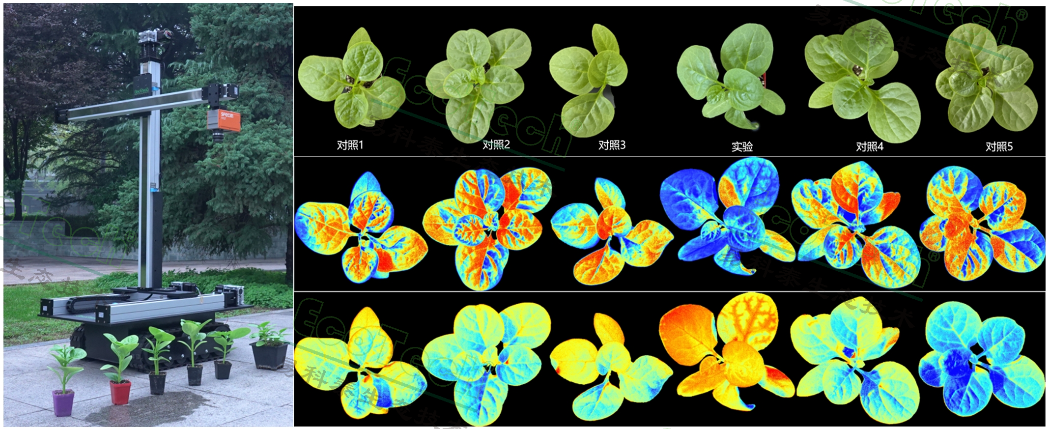 77779193永利官网(集团)有限公司
