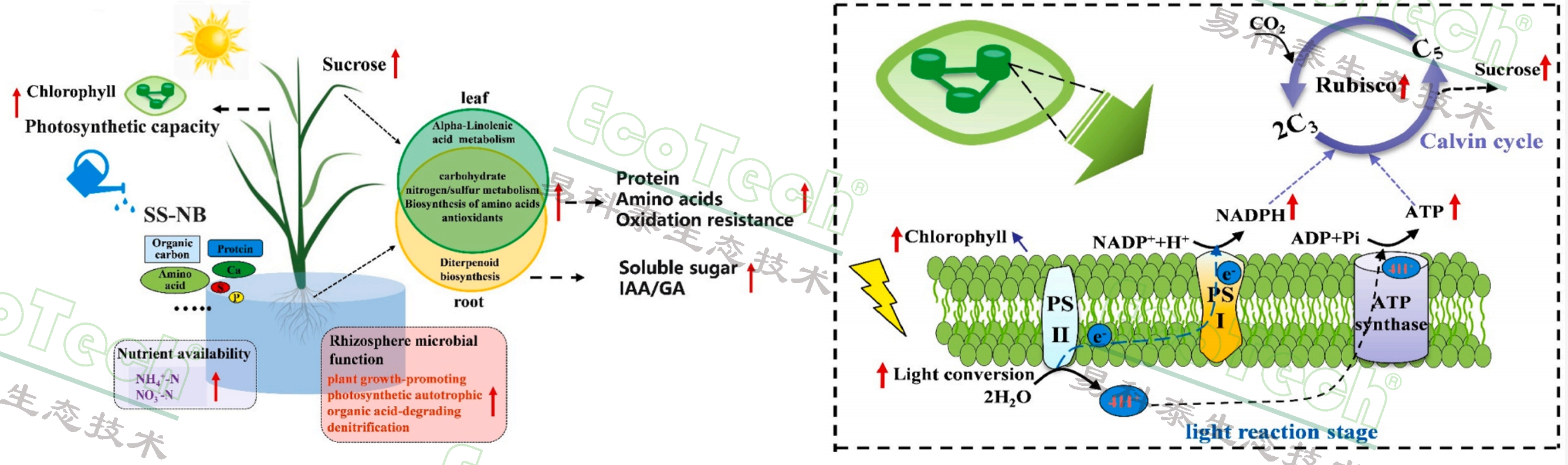 77779193永利官网(集团)有限公司