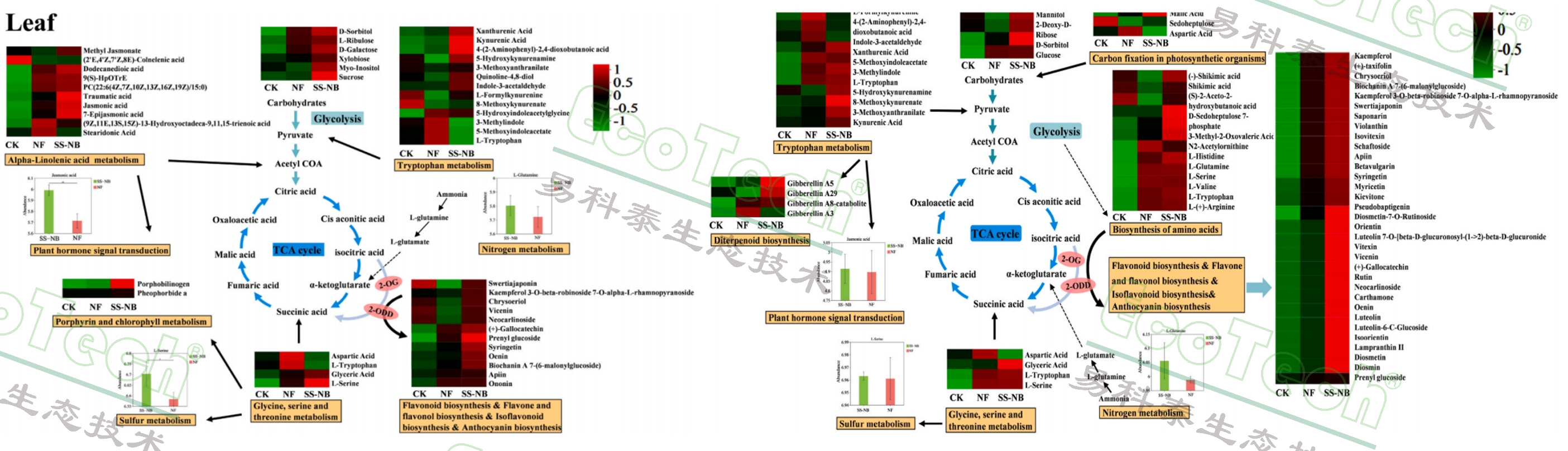 77779193永利官网(集团)有限公司