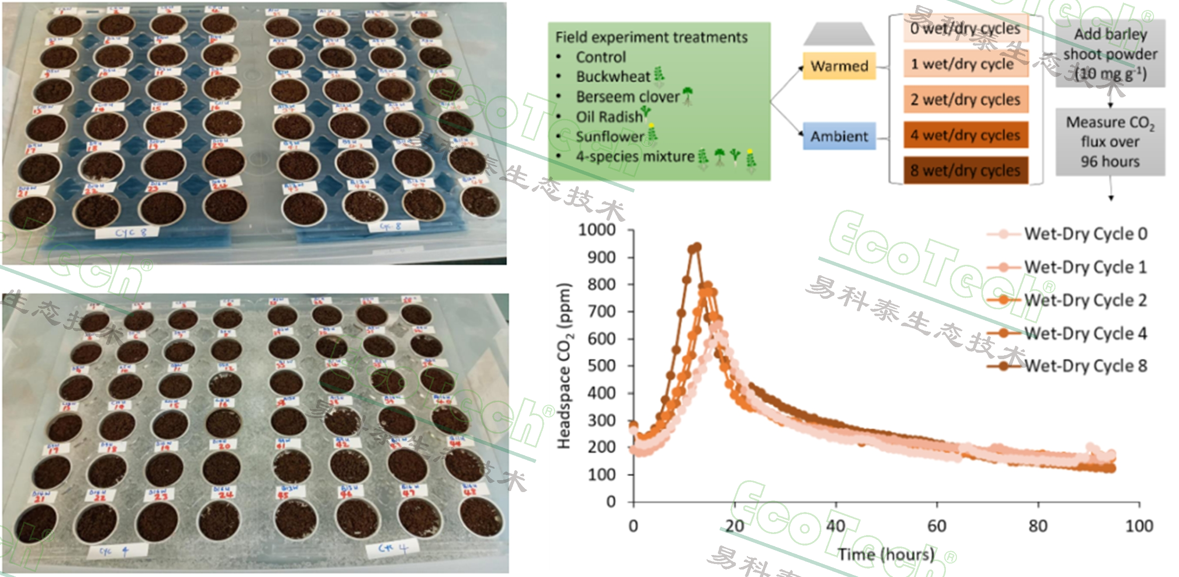 77779193永利官网(集团)有限公司
