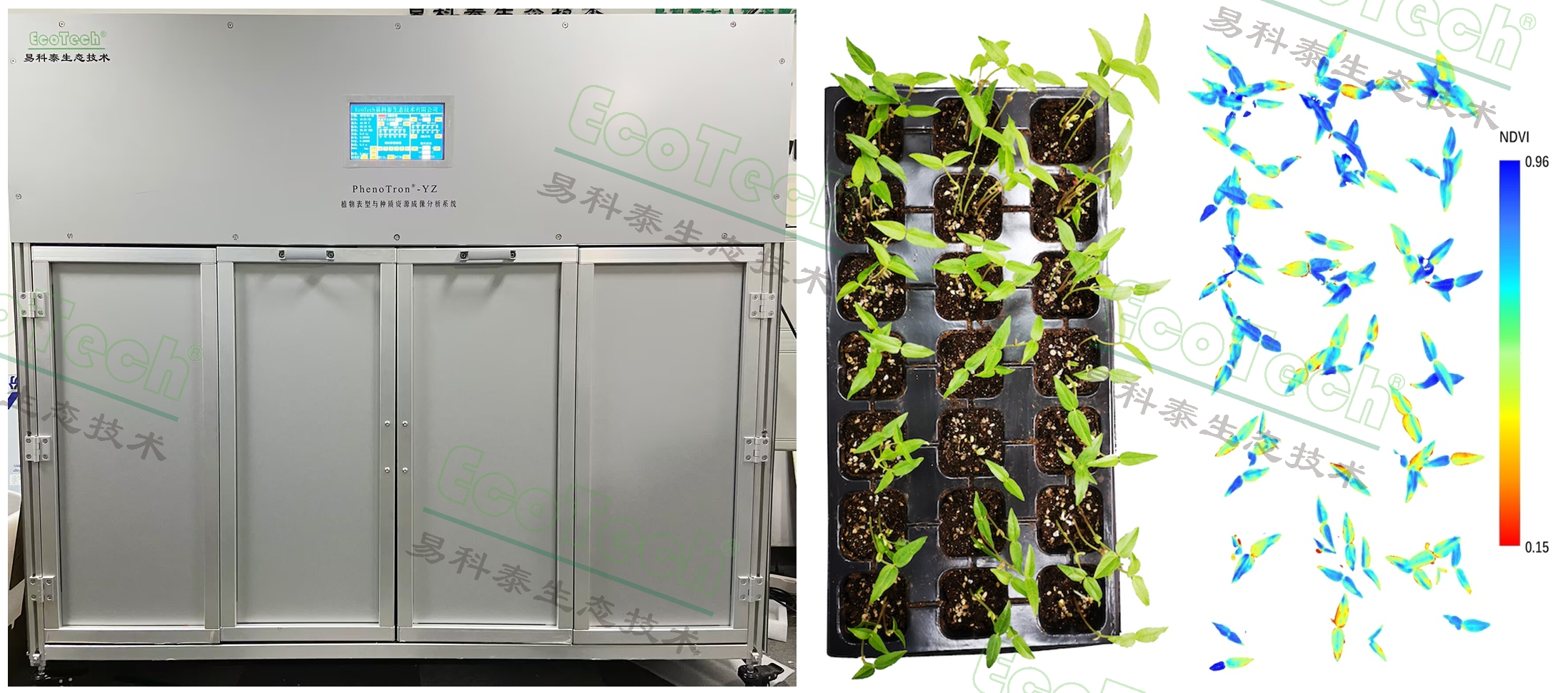 77779193永利官网(集团)有限公司