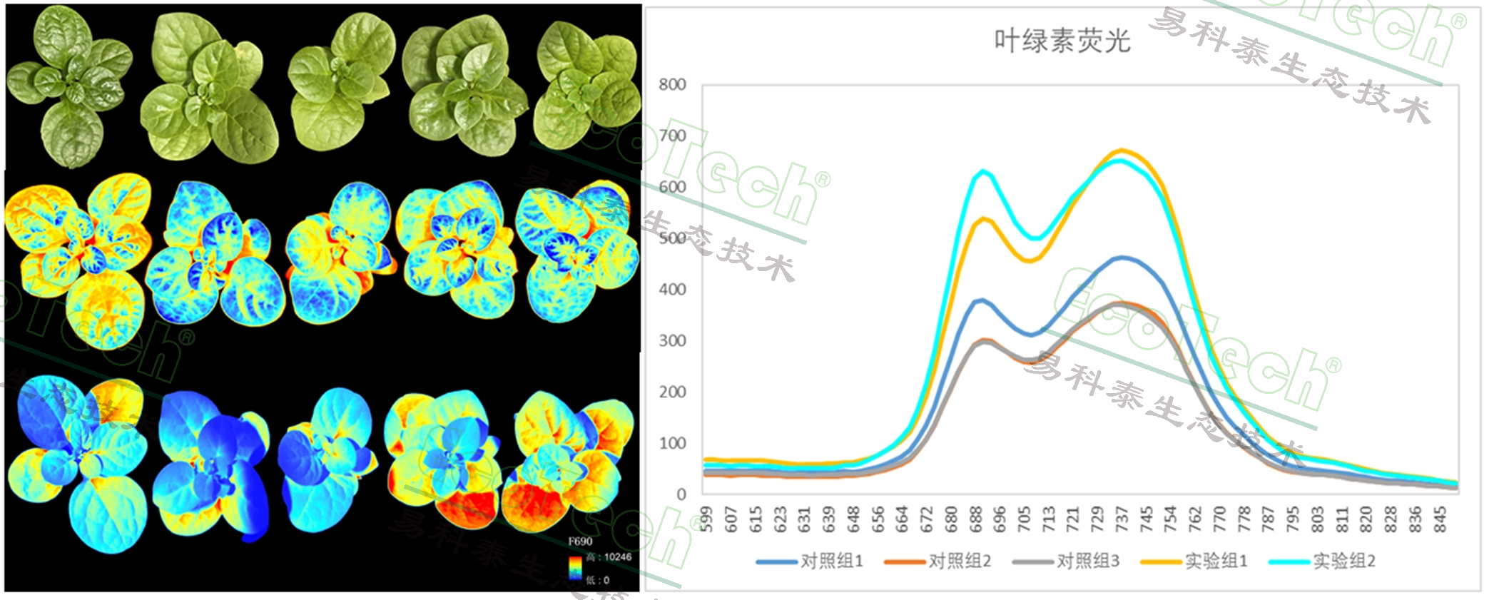 77779193永利官网(集团)有限公司