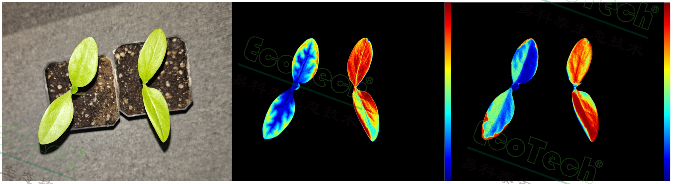 77779193永利官网(集团)有限公司