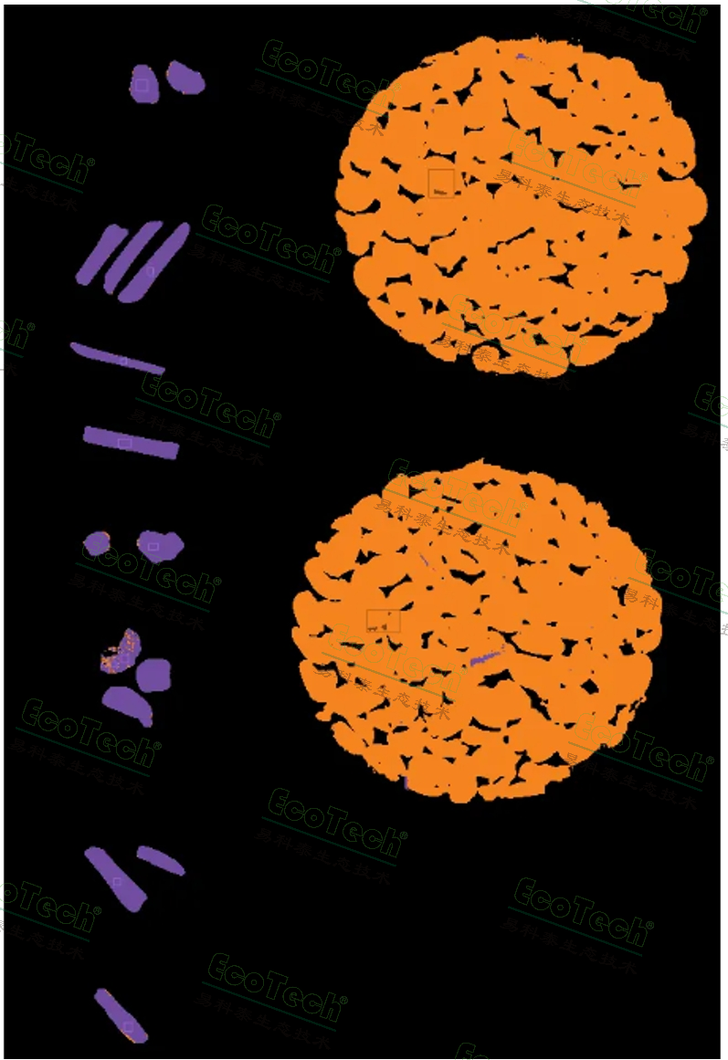 77779193永利官网(集团)有限公司