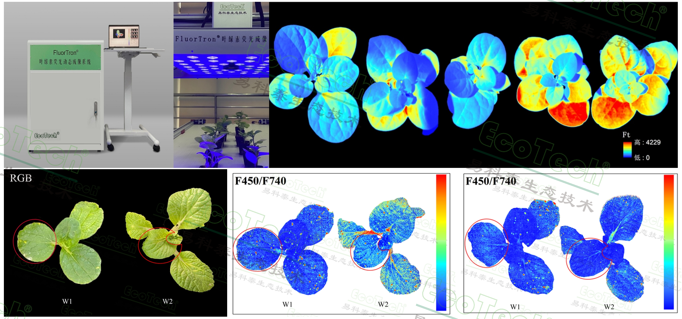 77779193永利官网(集团)有限公司