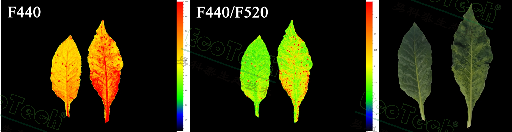 77779193永利官网(集团)有限公司