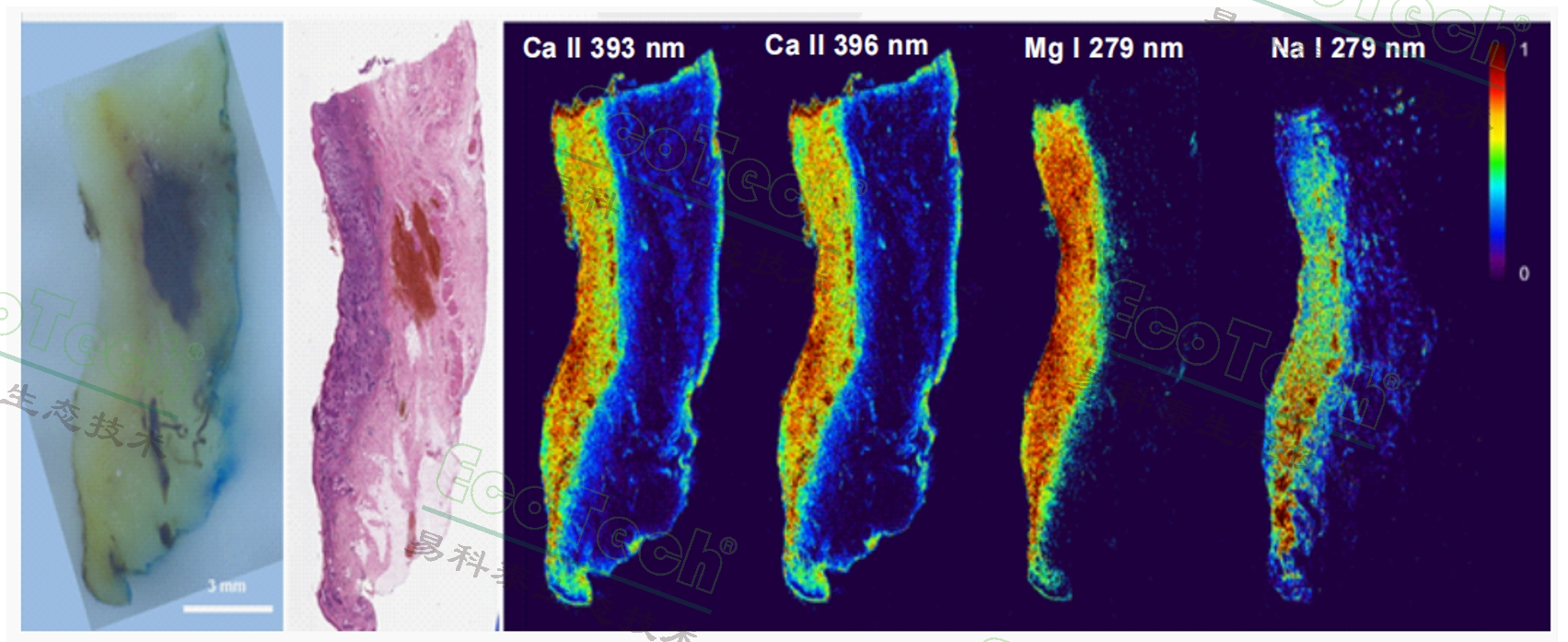 77779193永利官网(集团)有限公司