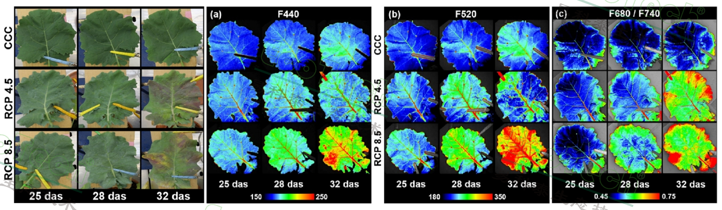 77779193永利官网(集团)有限公司