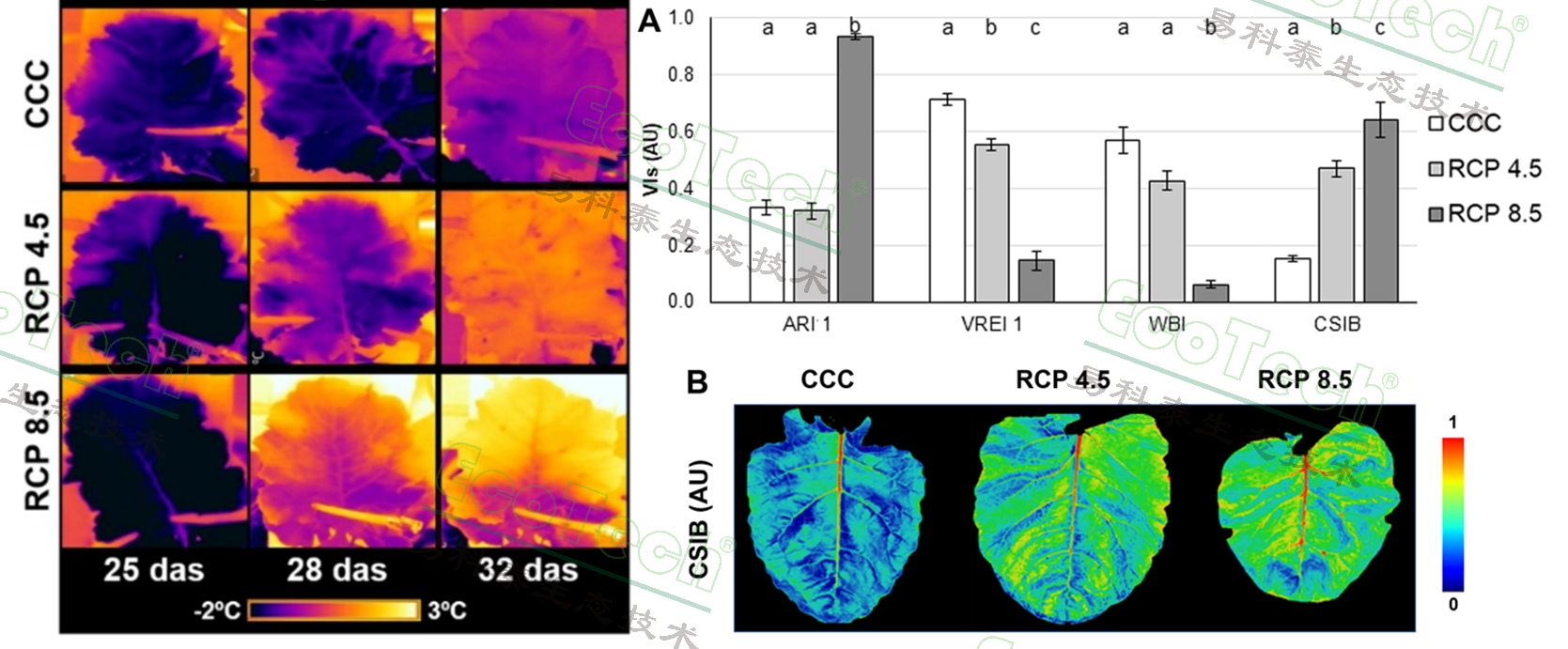 77779193永利官网(集团)有限公司