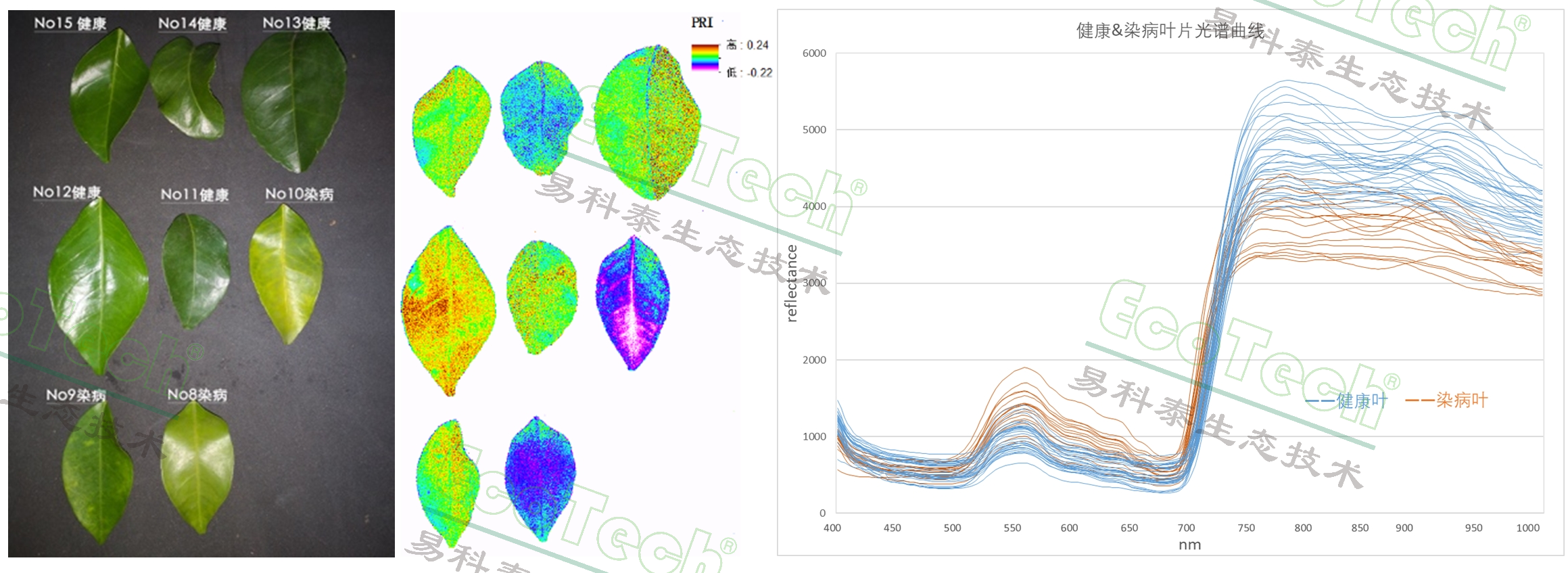 77779193永利官网(集团)有限公司