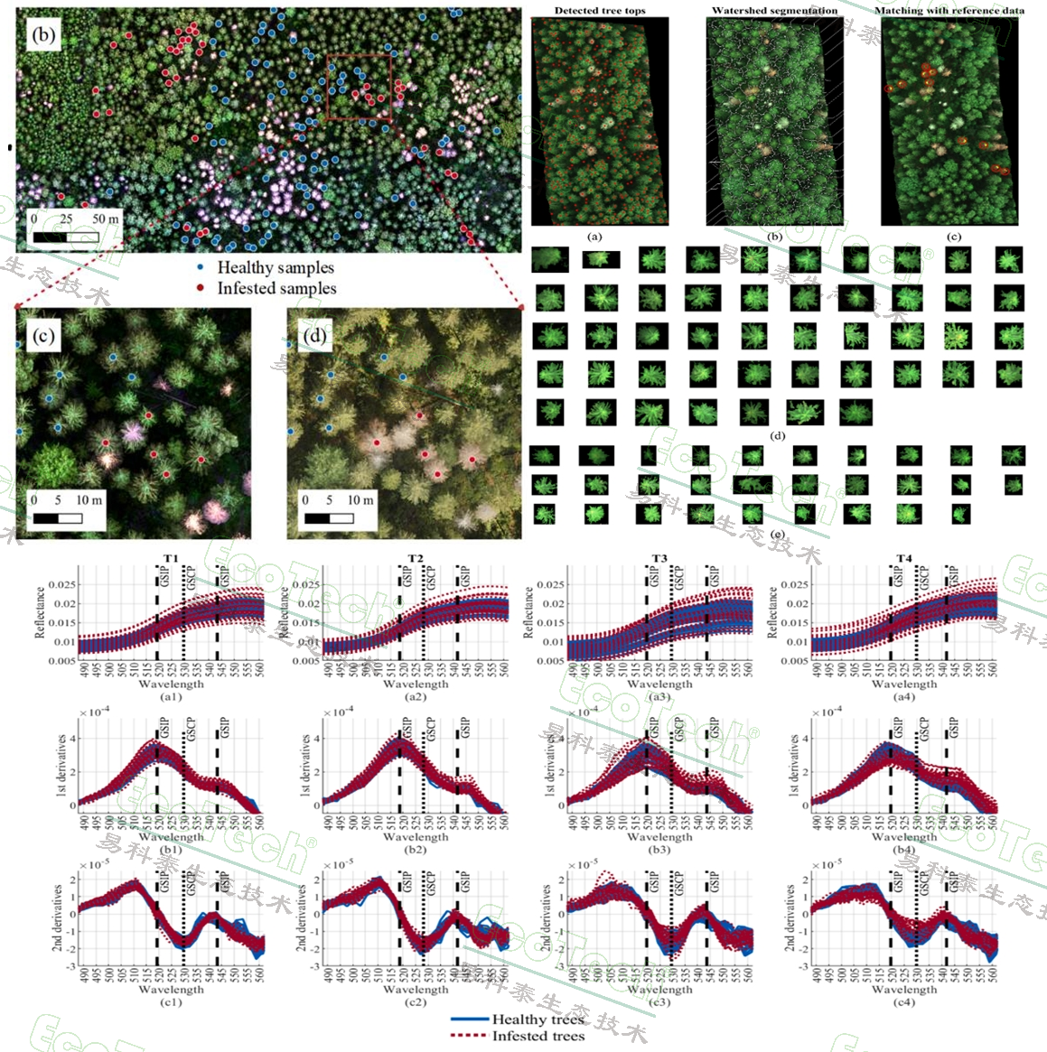 77779193永利官网(集团)有限公司