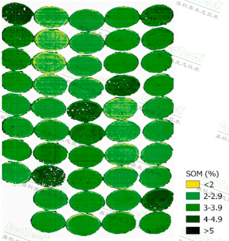 77779193永利官网(集团)有限公司