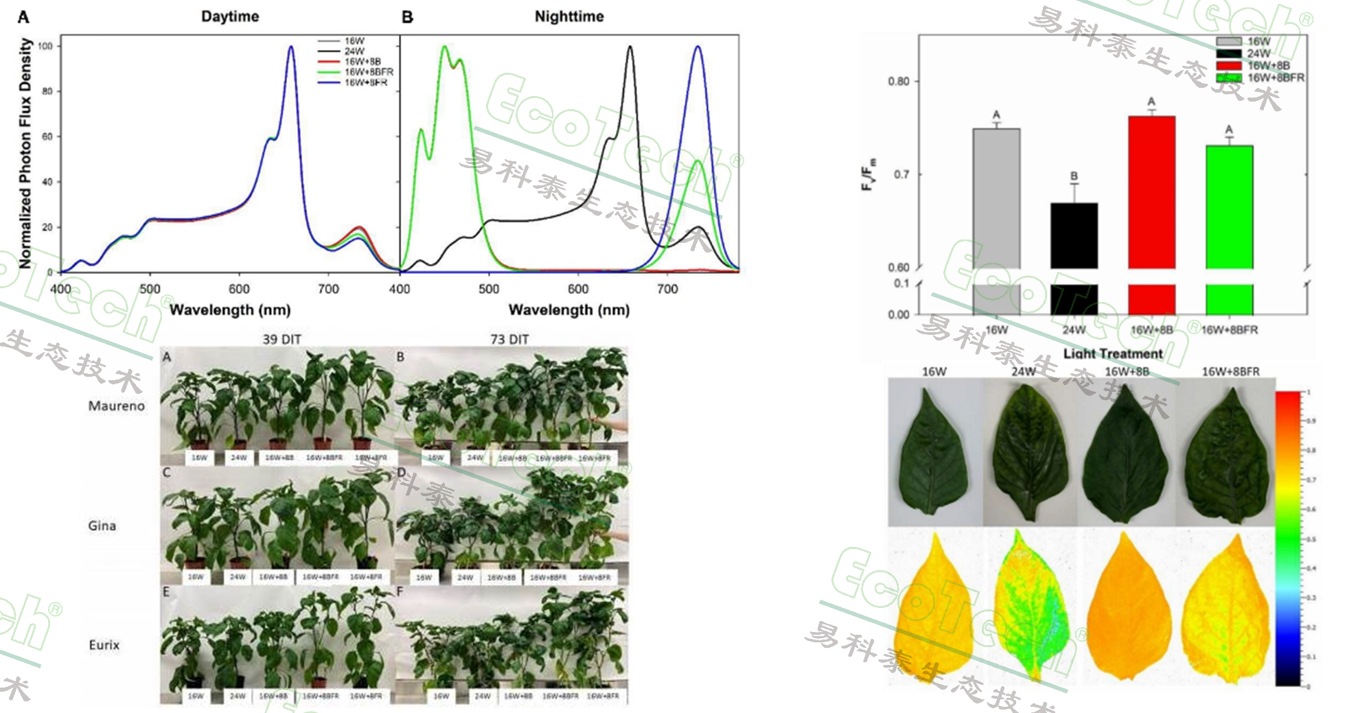 77779193永利官网(集团)有限公司
