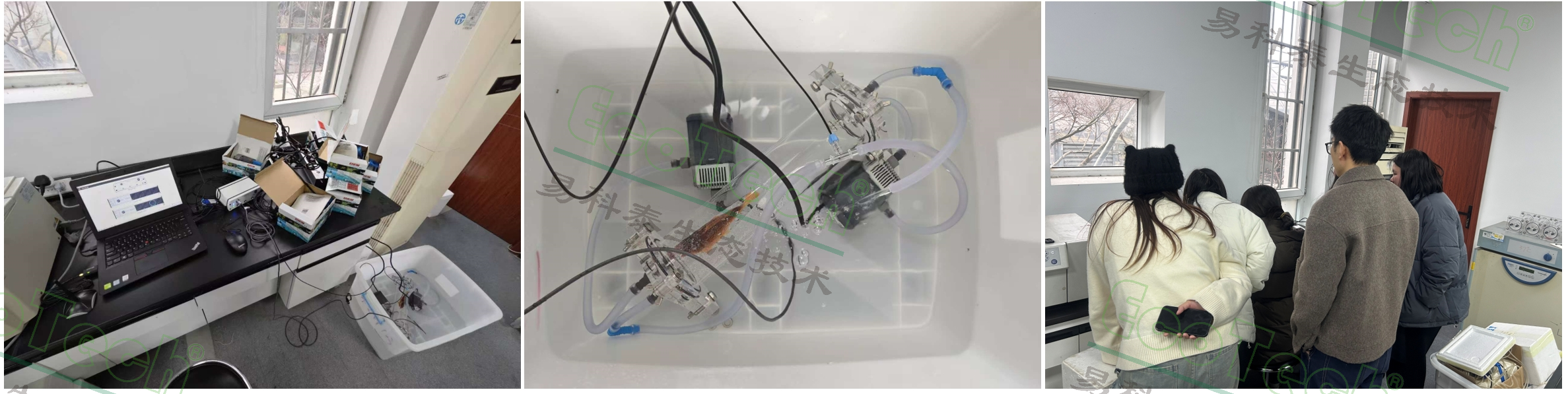 77779193永利官网(集团)有限公司