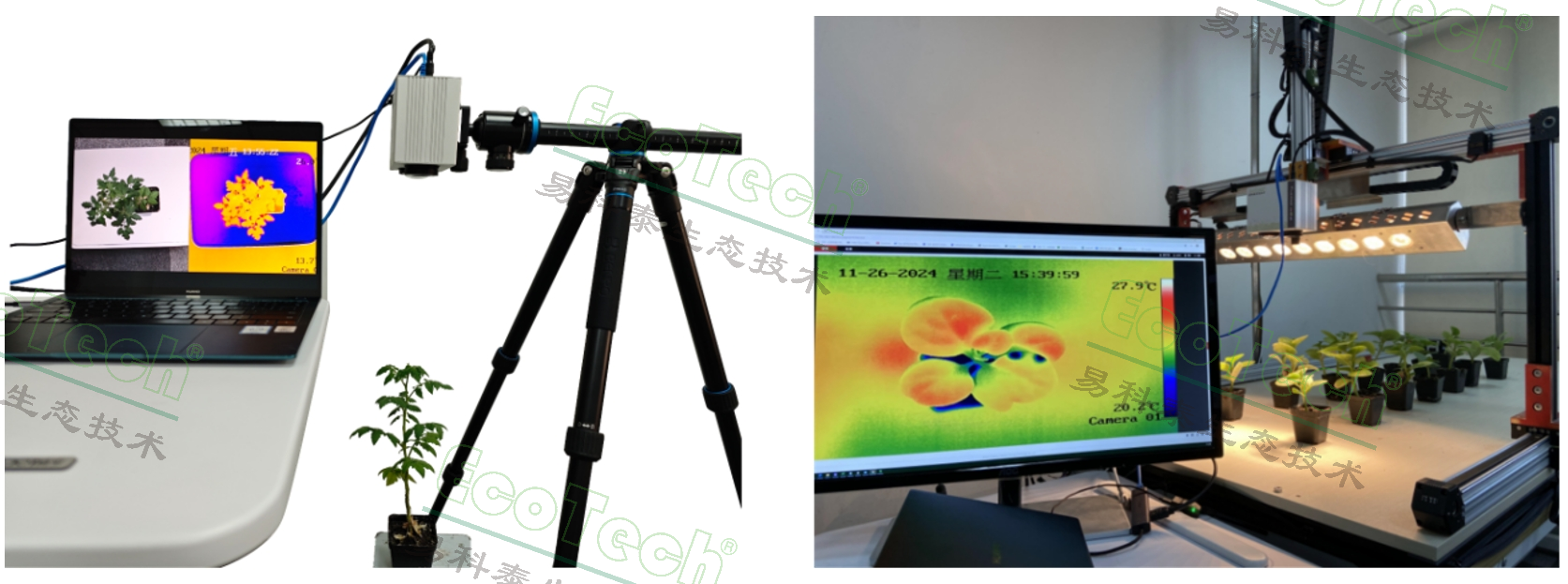 77779193永利官网(集团)有限公司