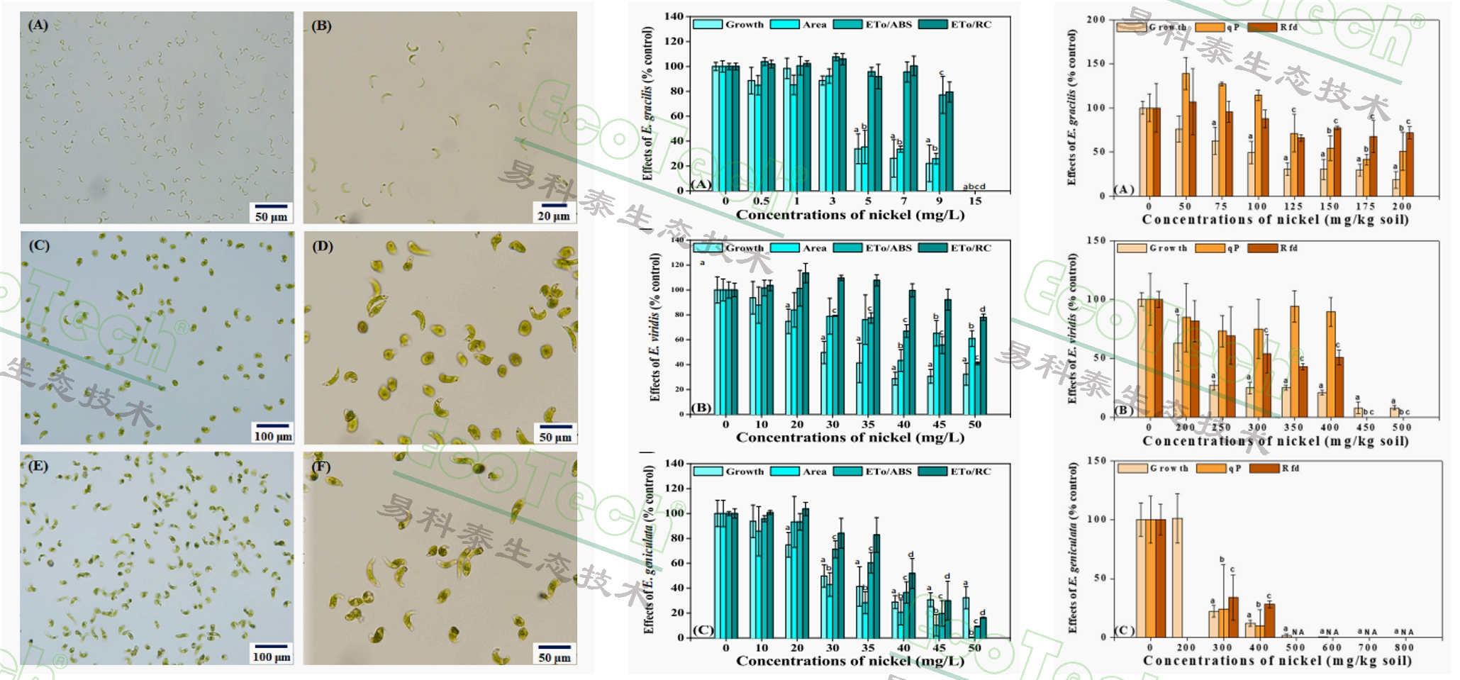 77779193永利官网(集团)有限公司