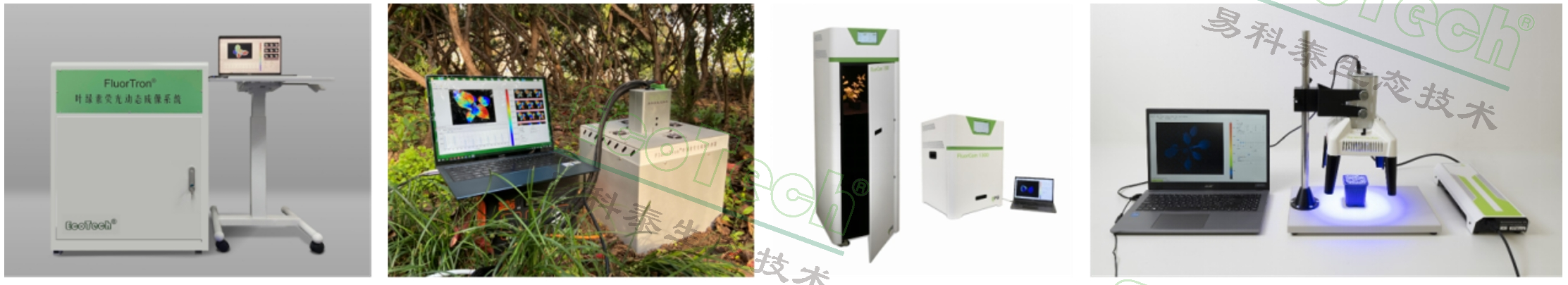 77779193永利官网(集团)有限公司