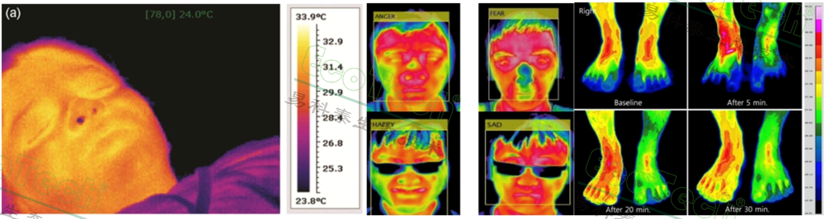 77779193永利官网(集团)有限公司