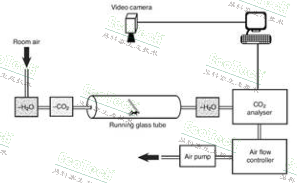 Macintosh HD:Users:cqyu:Desktop:Ecotech-Suppliers:北美:Sablesys.com:Reference:昆虫等无脊椎动物:Ants:ant respirometry.jpg
