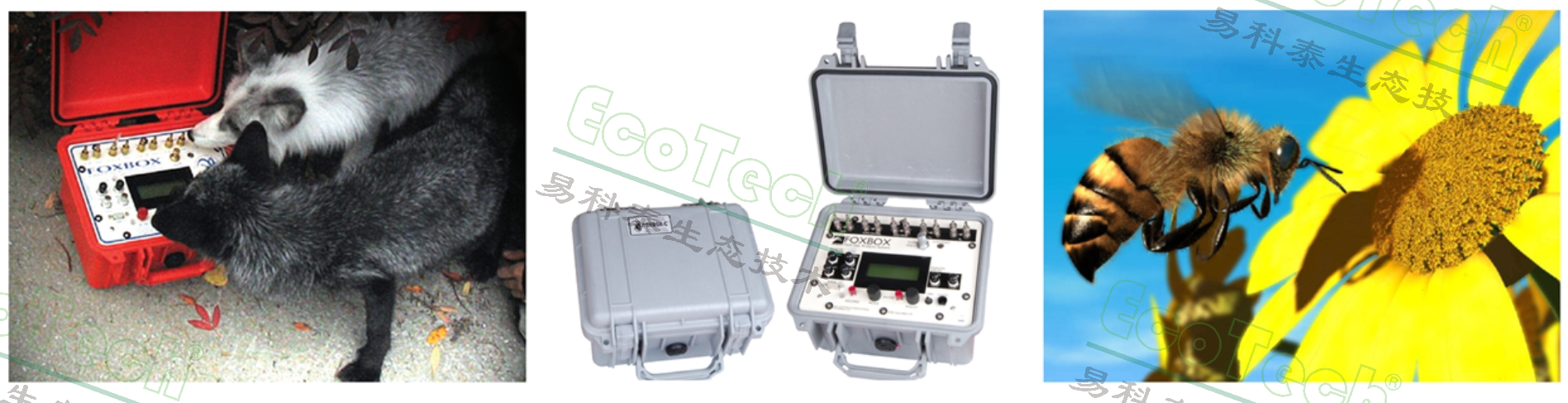 77779193永利官网(集团)有限公司