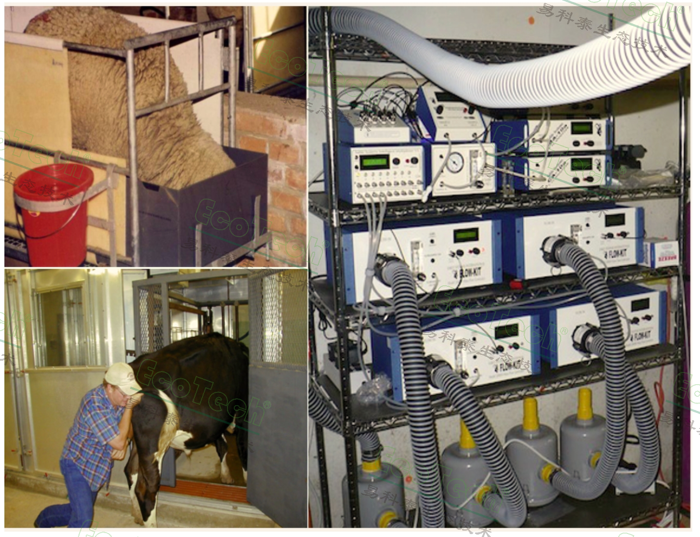 77779193永利官网(集团)有限公司