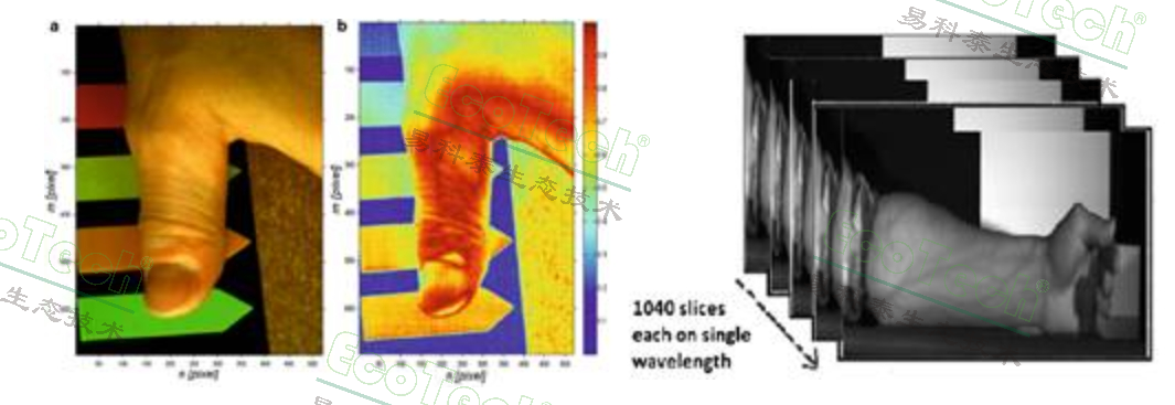 77779193永利官网(集团)有限公司
