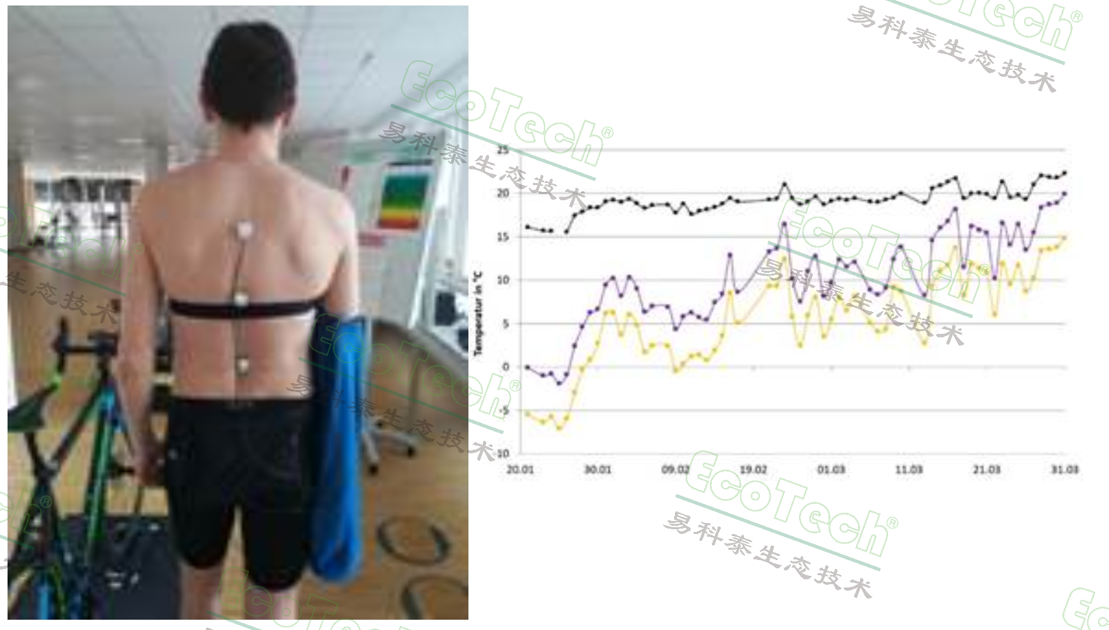 77779193永利官网(集团)有限公司