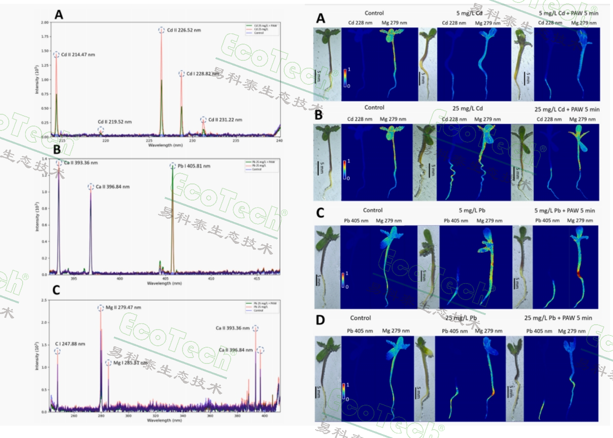 77779193永利官网(集团)有限公司