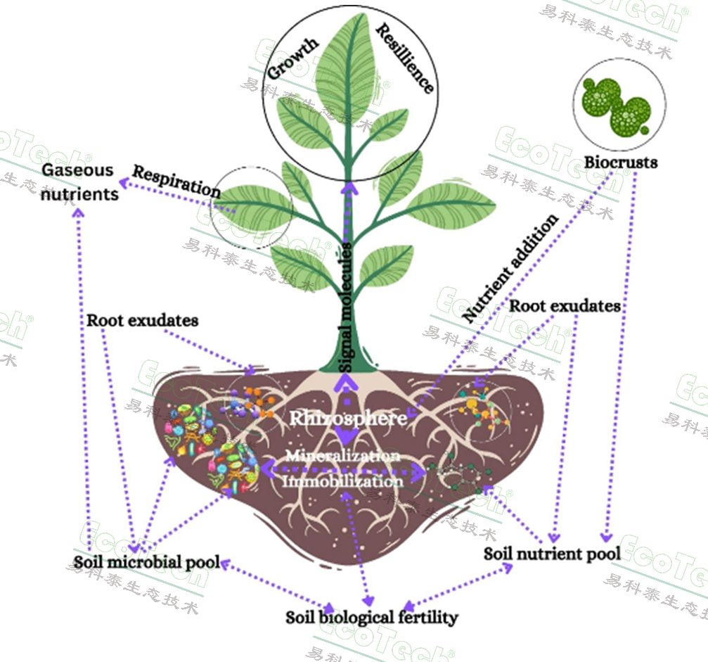 77779193永利官网(集团)有限公司
