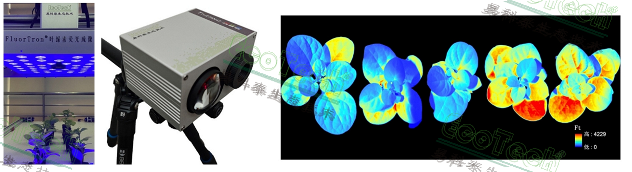 77779193永利官网(集团)有限公司