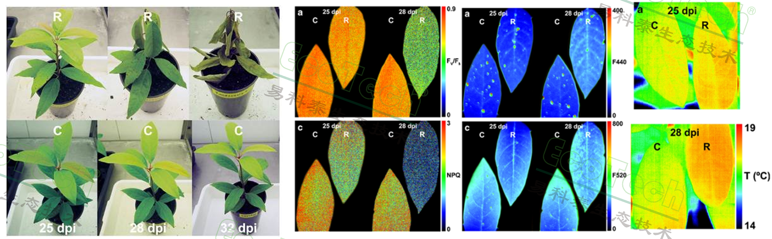 77779193永利官网(集团)有限公司