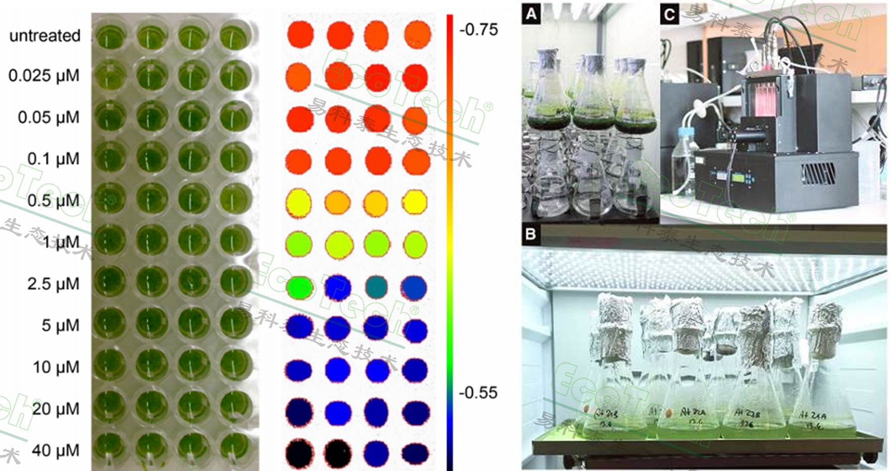 77779193永利官网(集团)有限公司