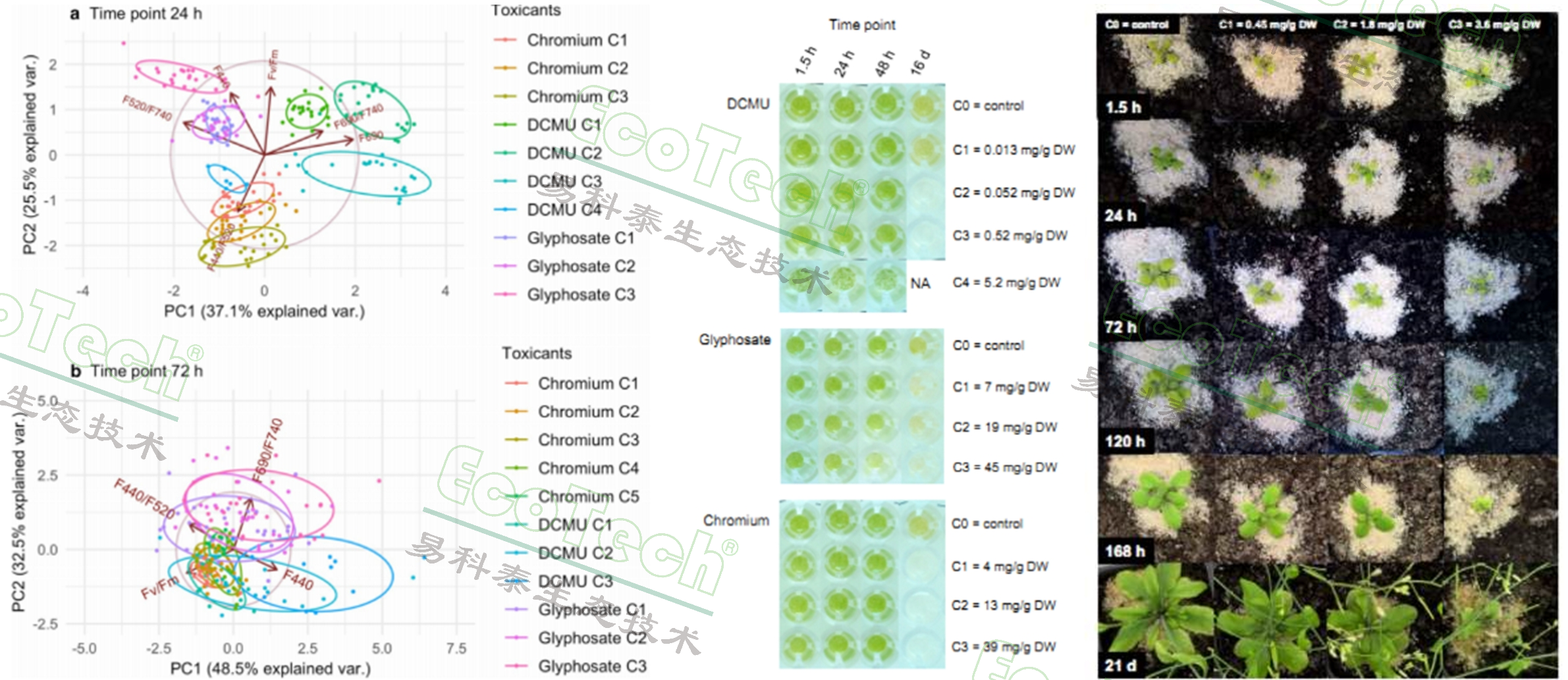 77779193永利官网(集团)有限公司