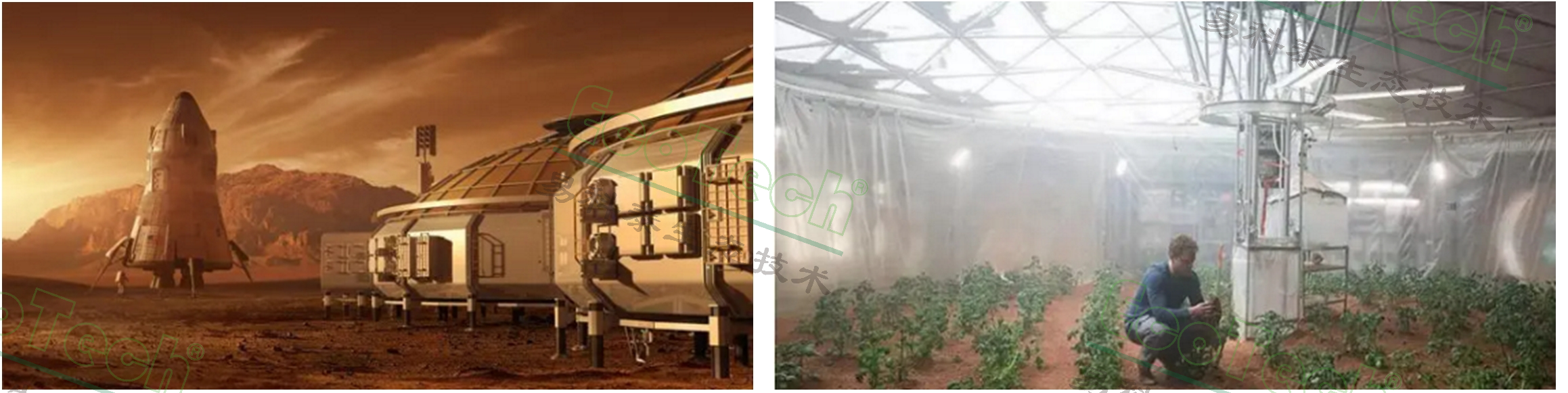 77779193永利官网(集团)有限公司