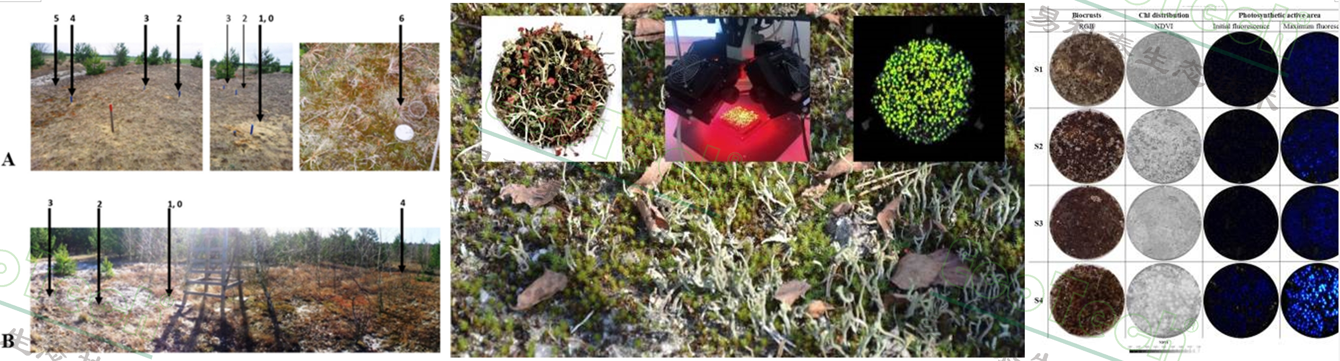 77779193永利官网(集团)有限公司