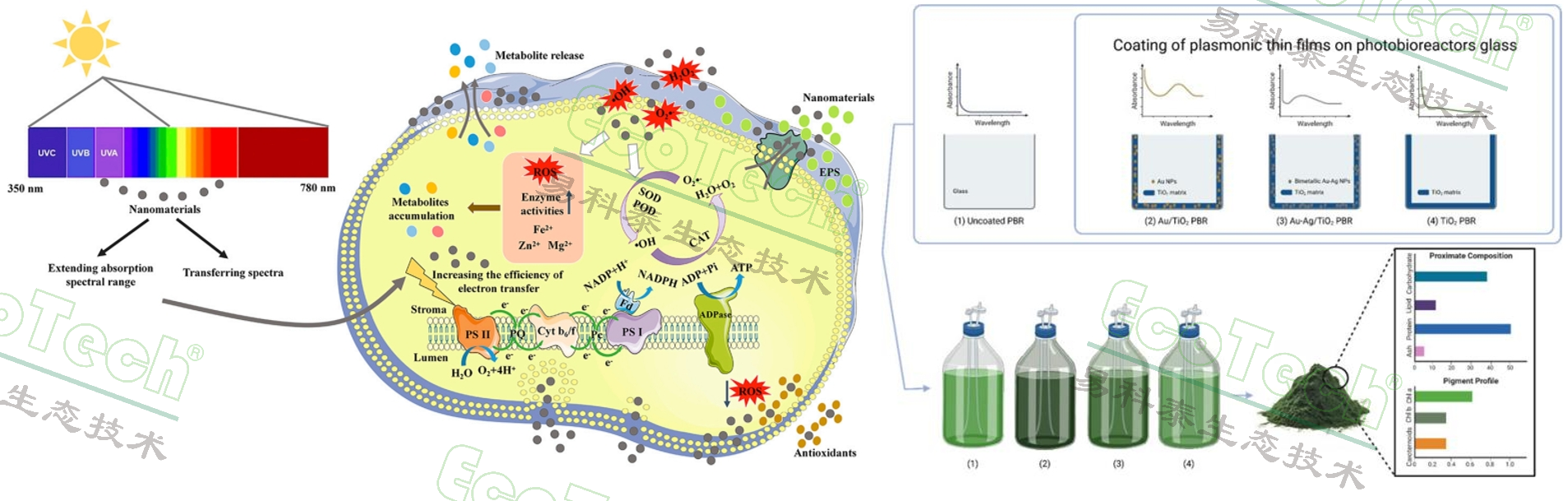 77779193永利官网(集团)有限公司