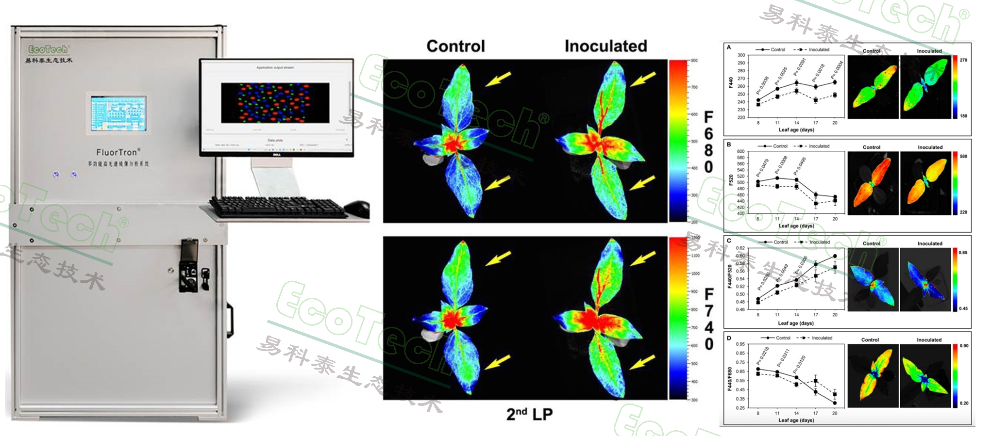 77779193永利官网(集团)有限公司