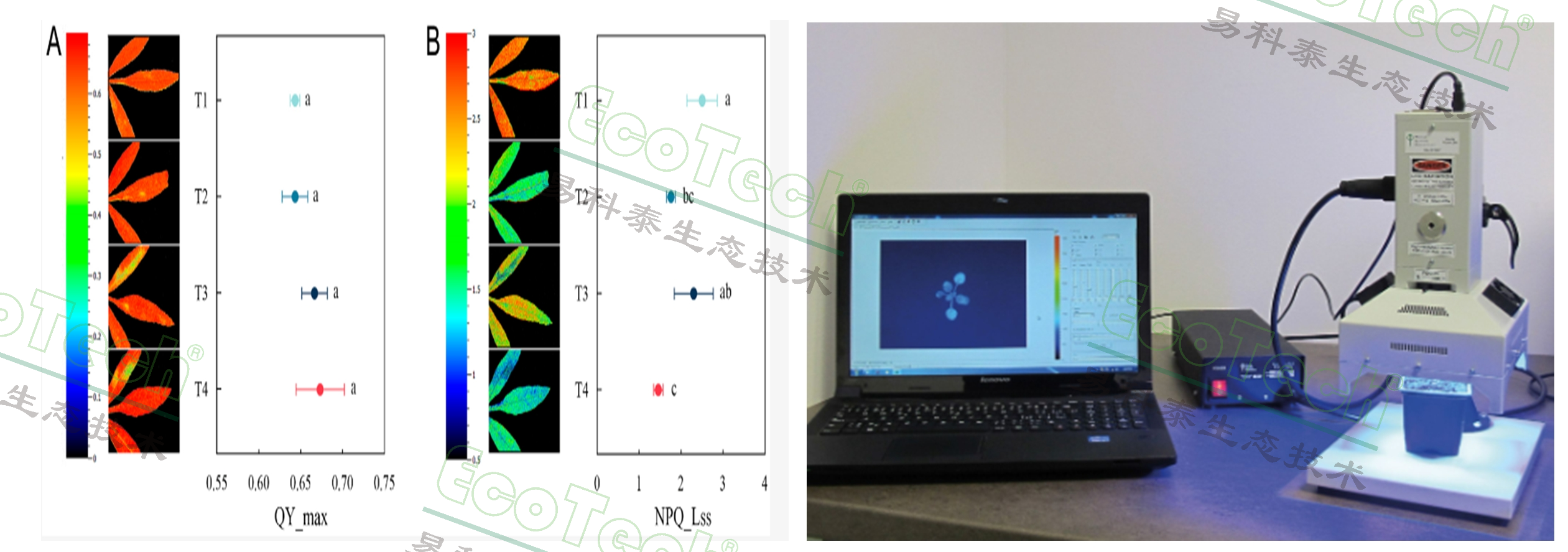 77779193永利官网(集团)有限公司