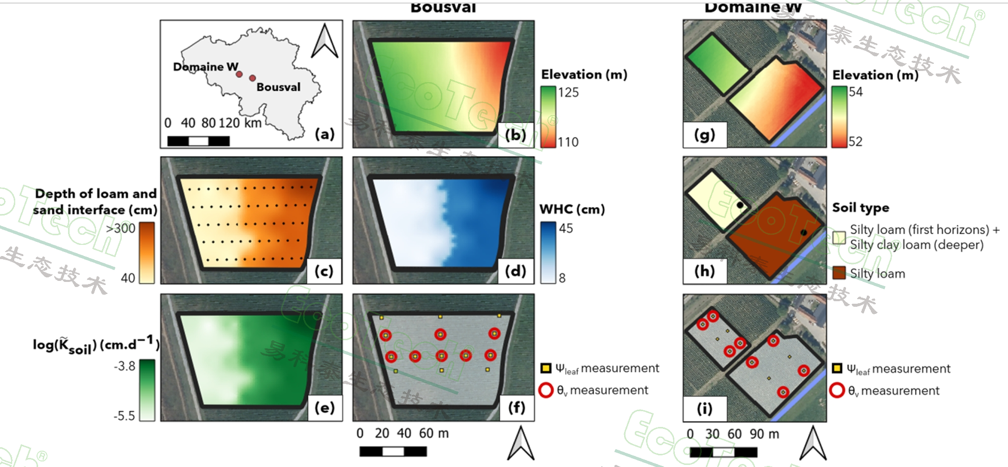 77779193永利官网(集团)有限公司