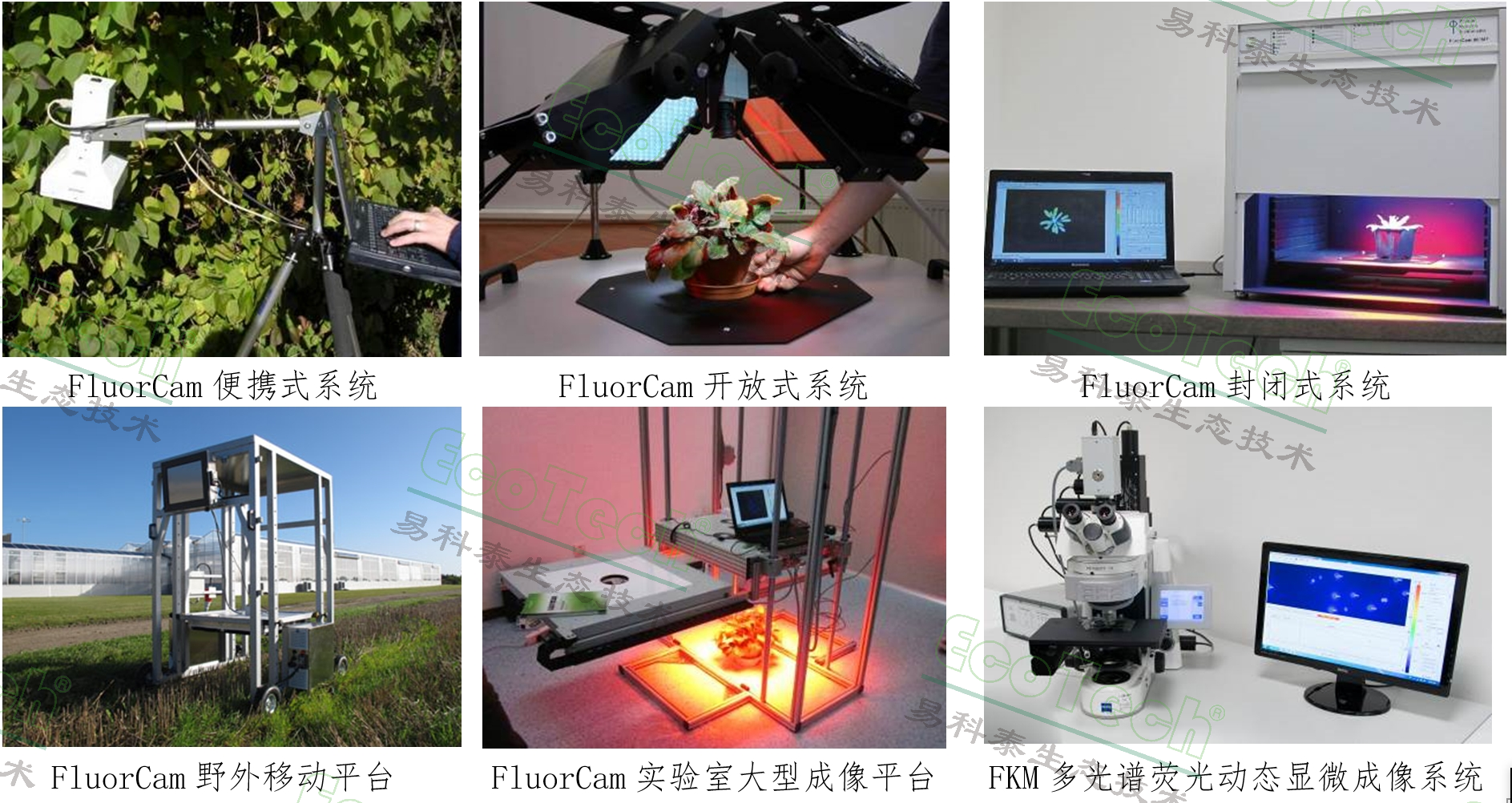 77779193永利官网(集团)有限公司